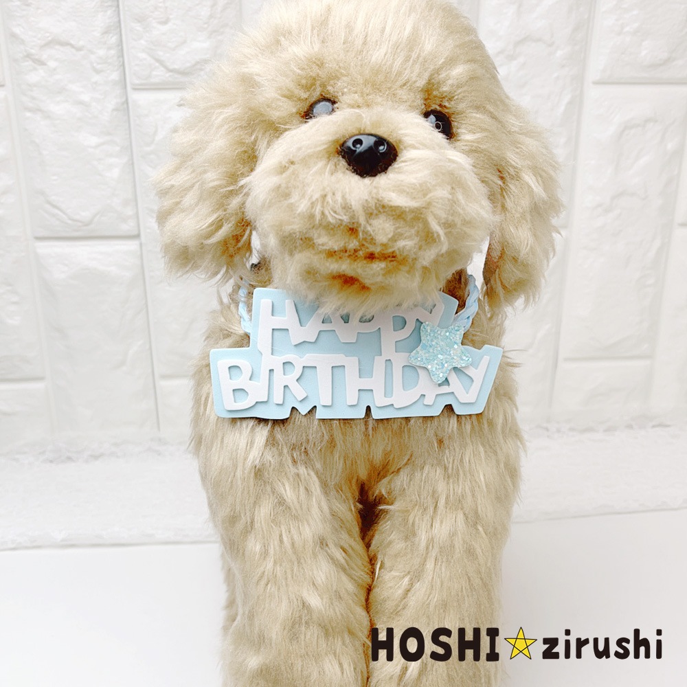 ハッピーバースデー三つ編みチョーカー（20枚入） Pet choker Dog