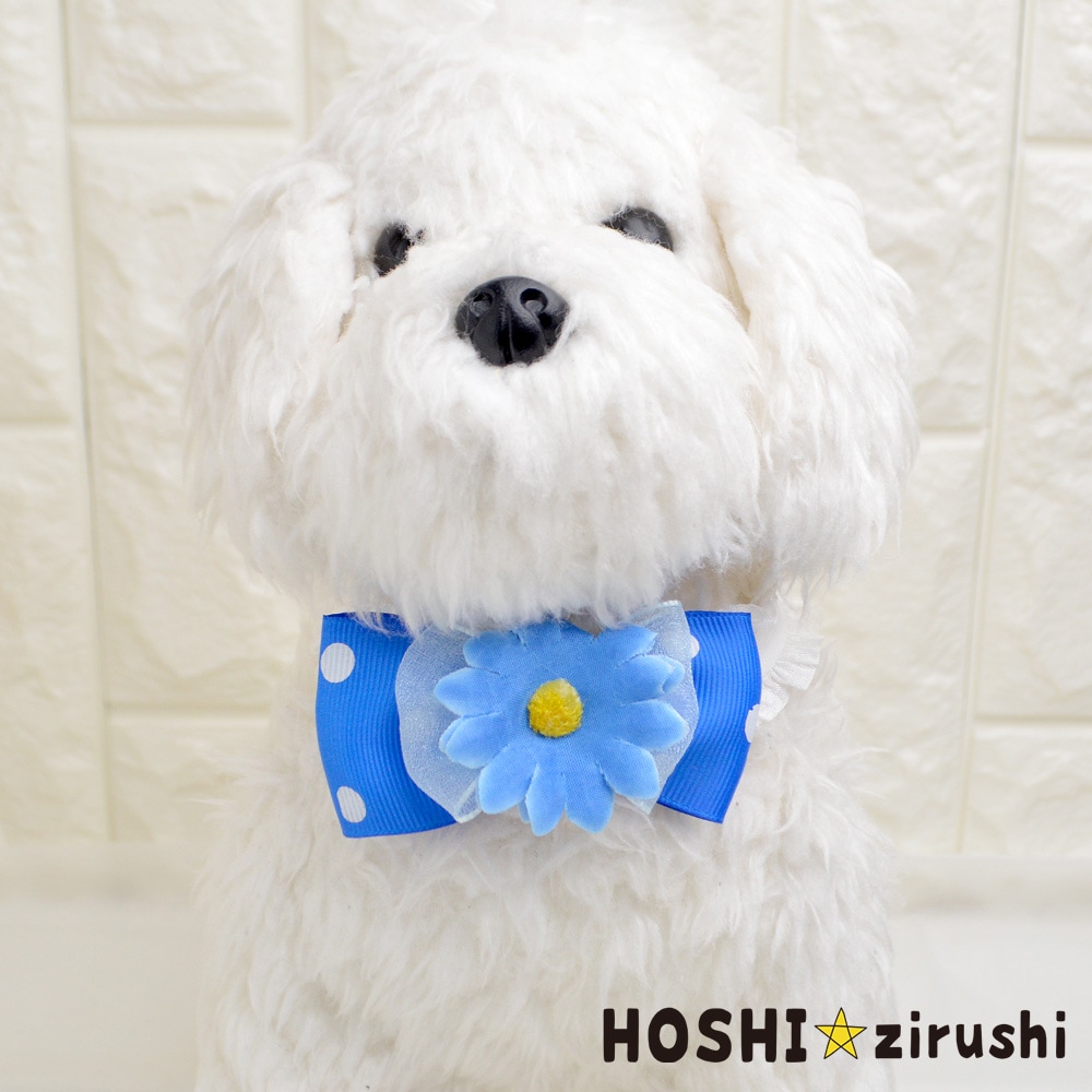 トリミングチョーカー　hoshi⭐︎ 星印チョーカー🎀 たった今🎉 新作商品になります‼︎ ボリューム