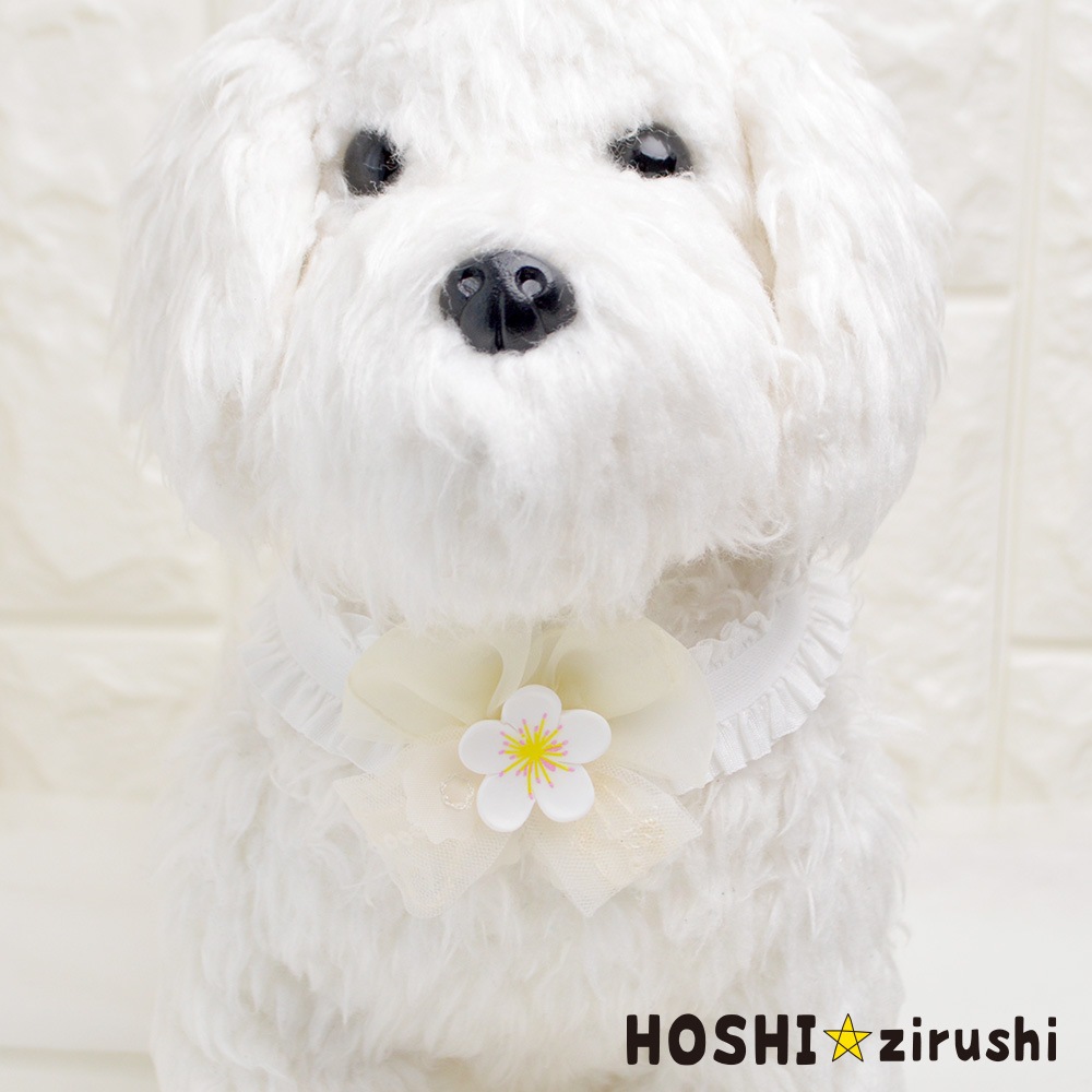 シースルーリボンの桜チョーカー（タイプ2）【20個入り】 Pet choker Dog collar Pet ribbon Pet accessories
