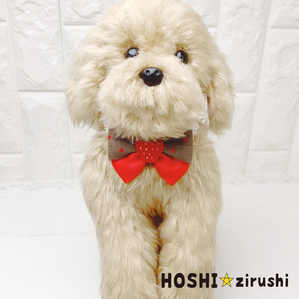 フルーツマルシェチョーカー【20個入り】 Pet choker Dog collar Pet