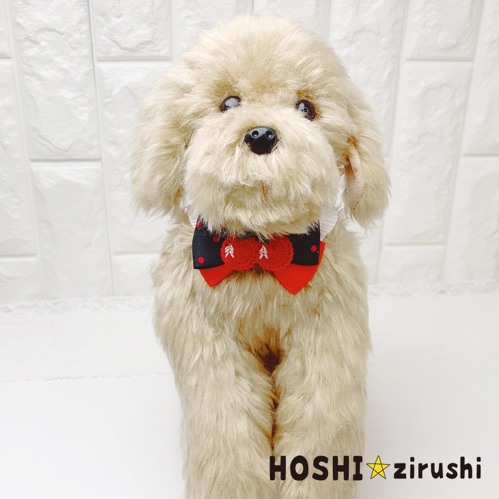 フルーツマルシェチョーカー【20個入り】 Pet choker Dog collar Pet