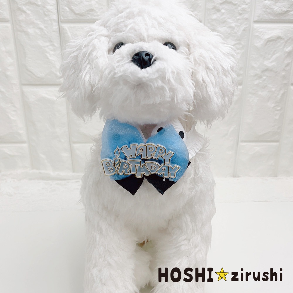 hoshi☆トリミングチョーカー　スタイ hoshi☆様専用トリミングチョーカー スタイ ぽむ様専用 トリミング