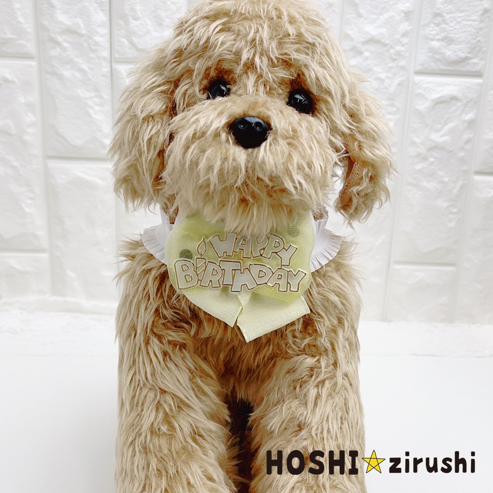ドットリボンのバースデーチョーカー【20個入り】 Pet choker Dog