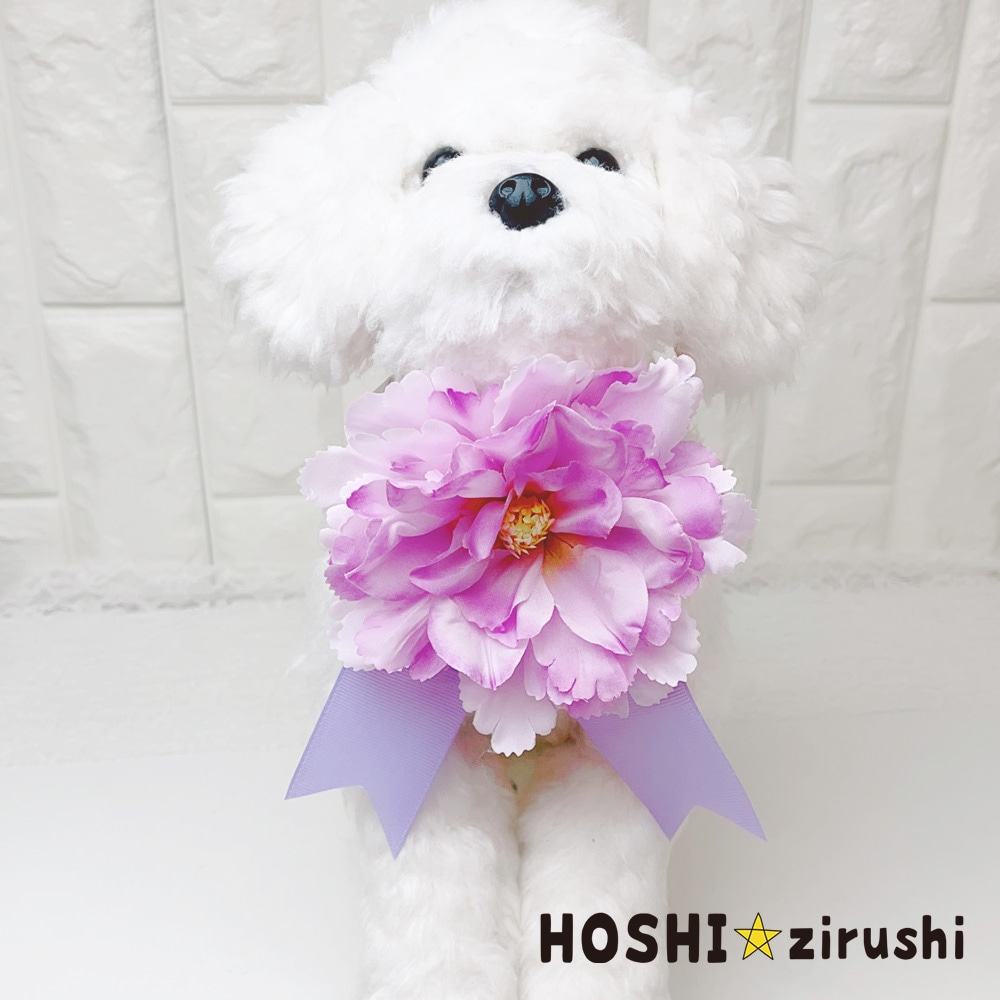 グランフルールチョーカー Pet choker Dog collar Pet ribbon Pet