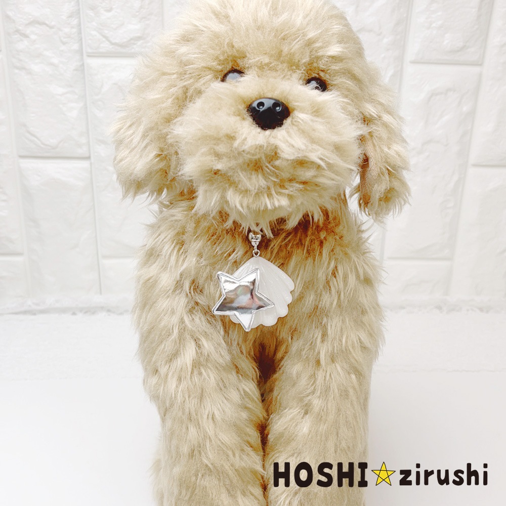 星付きシェルペンダント【20個入り】 Pet choker Dog collar Pet
