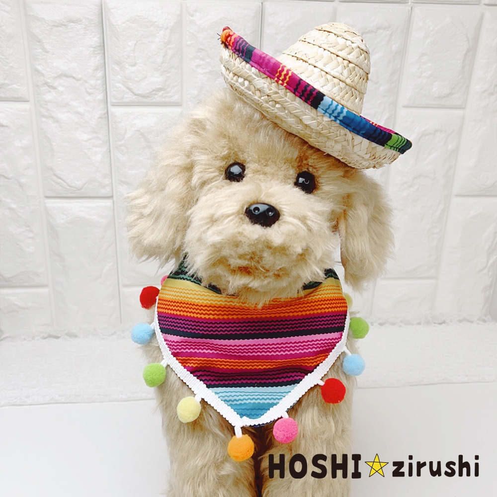 メキシカンセット Pet choker Dog collar Pet ribbon Pet accessories