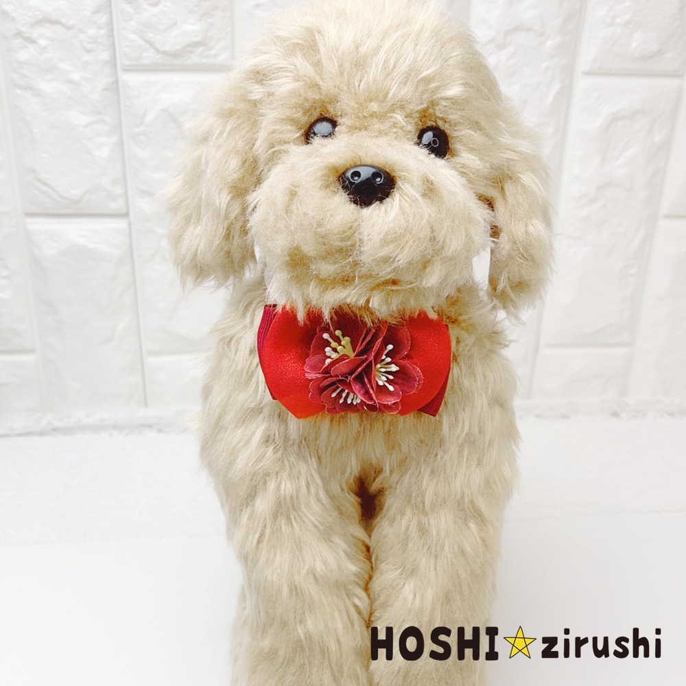 ふんわり花びらチョーカー【20個入り】 Pet choker Dog collar Pet