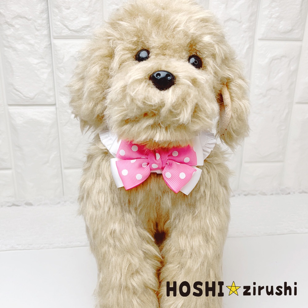 キャンディドットリボンチョーカー【20個入り】 Pet choker Dog collar Pet ribbon Pet accessories