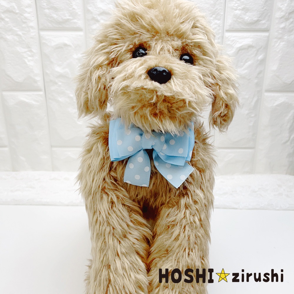 ドット柄のさわやかチョーカー【20個入り】 Pet choker Dog collar Pet