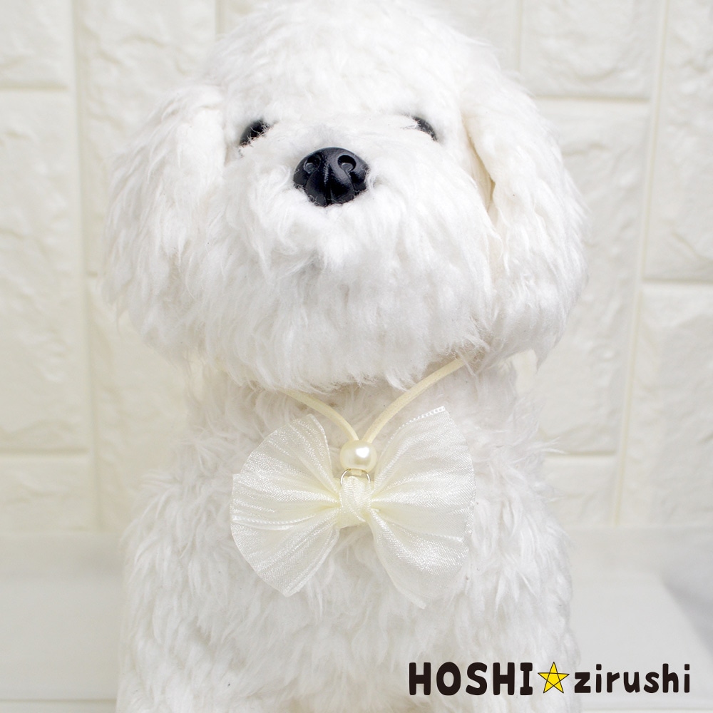 ふんわりシースルーリボンペンダント【20個入り】 Pet choker