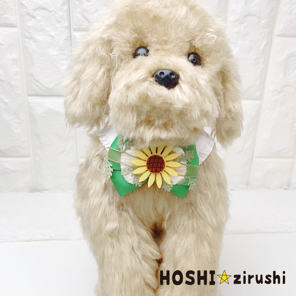 ガーデンヒマワリチョーカー【20個入り】 Pet choker Dog collar Pet