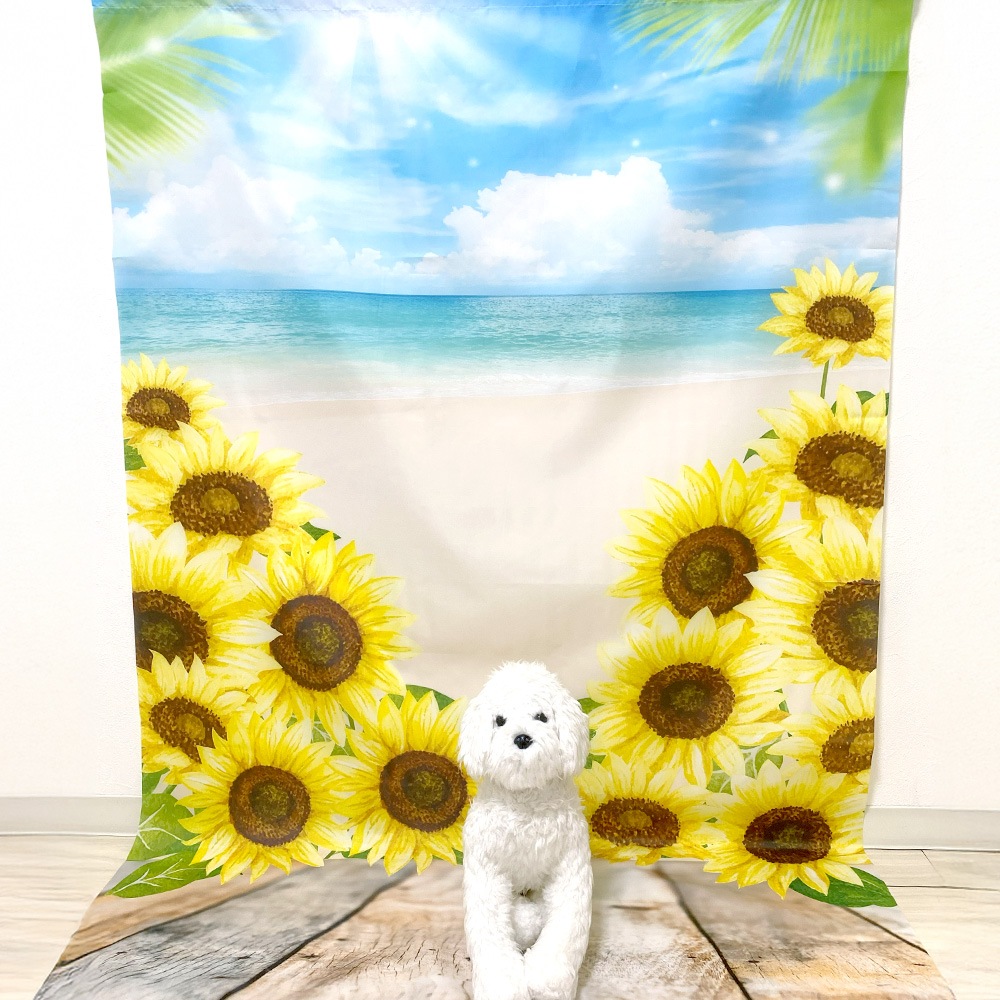 ★撮影用★ 背景 選べるタペストリー 夏用 ひまわり 金魚【1枚】 星印オリジナル