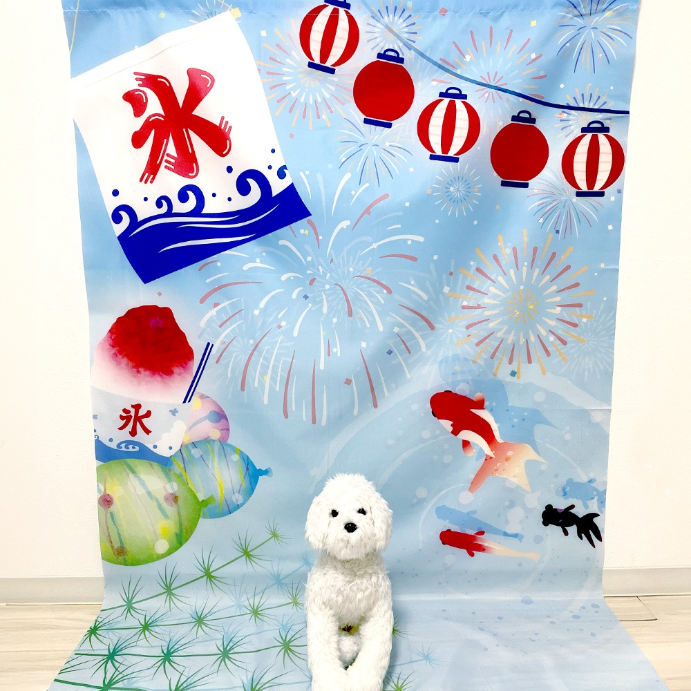 ★撮影用★ 背景 選べるタペストリー 夏用 ひまわり 金魚【1枚】 星印オリジナル