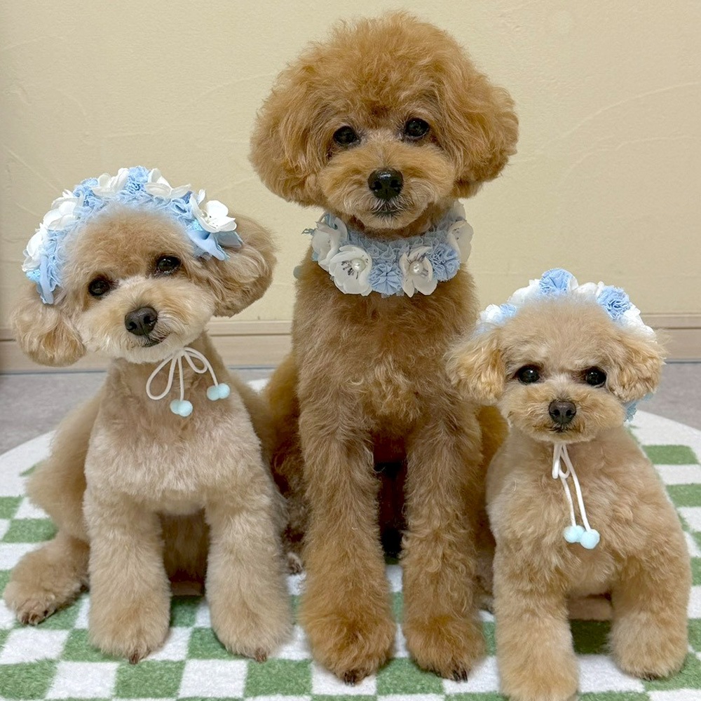 お花ずくしのヘアーバンド【3個入り】　 Pet choker Dog collar Pet ribbon Pet accessories