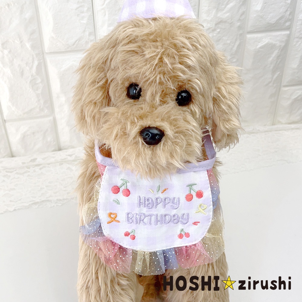 スイートレインボーバースデーエプロン【1セット】 Pet choker Dog collar Pet ribbon Pet accessories