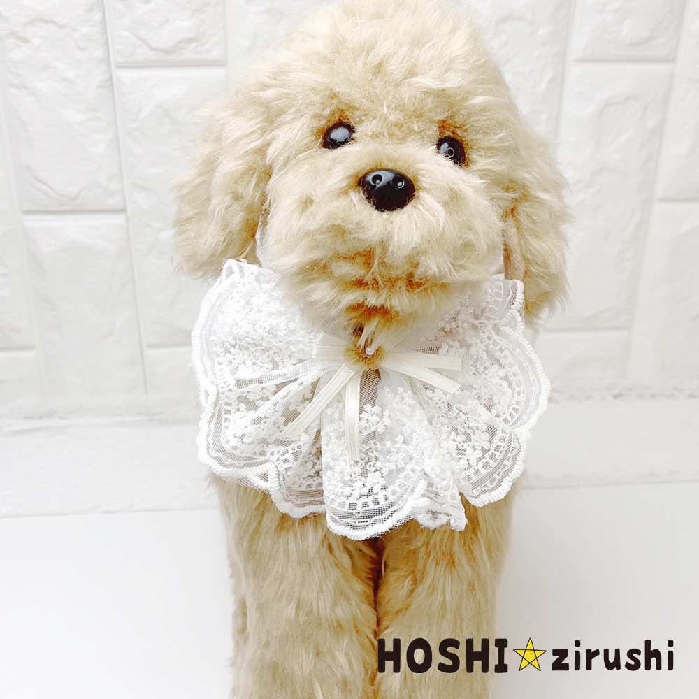 クラシカルレースチョーカー【20個入り】 Pet choker Dog collar Pet ribbon Pet accessories
