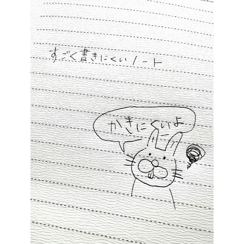 すごく書きにくいノート2種セット