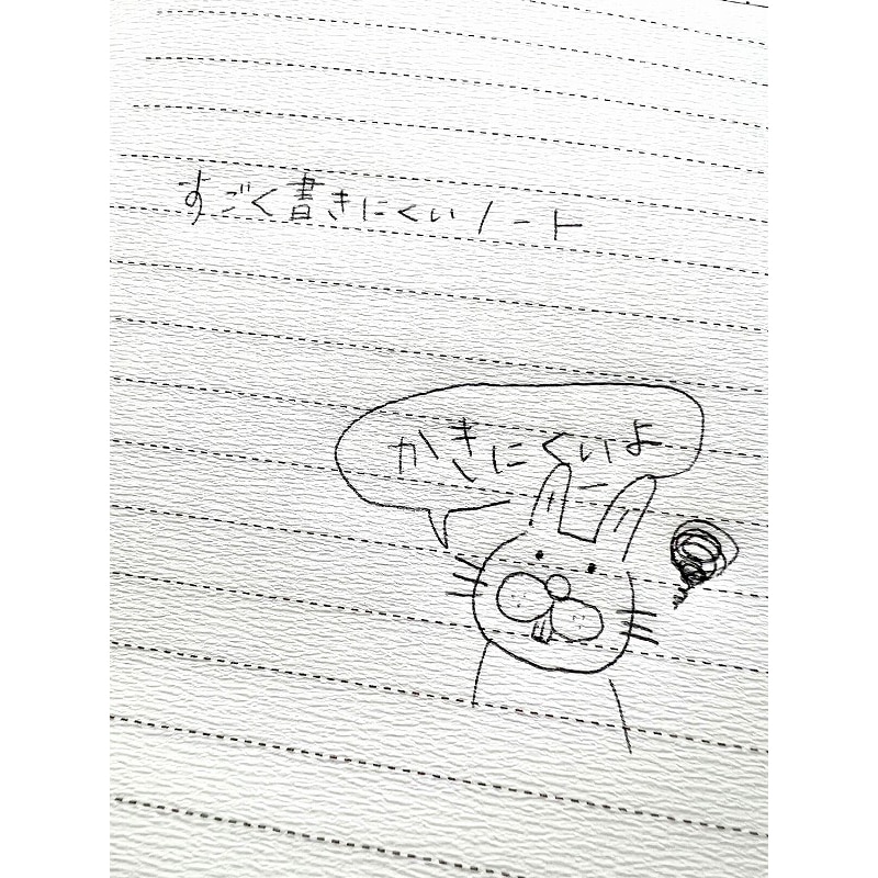 すごく書きにくいノート(線あり) 2冊セット