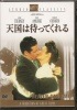 天国は待ってくれる【廃盤・新品ＤＶＤ】|アメリカ映画|ＤＶＤ