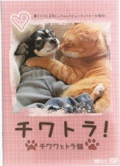 ����ȥ顪�������ȥȥ�ǭ����ţģ֣ġ�