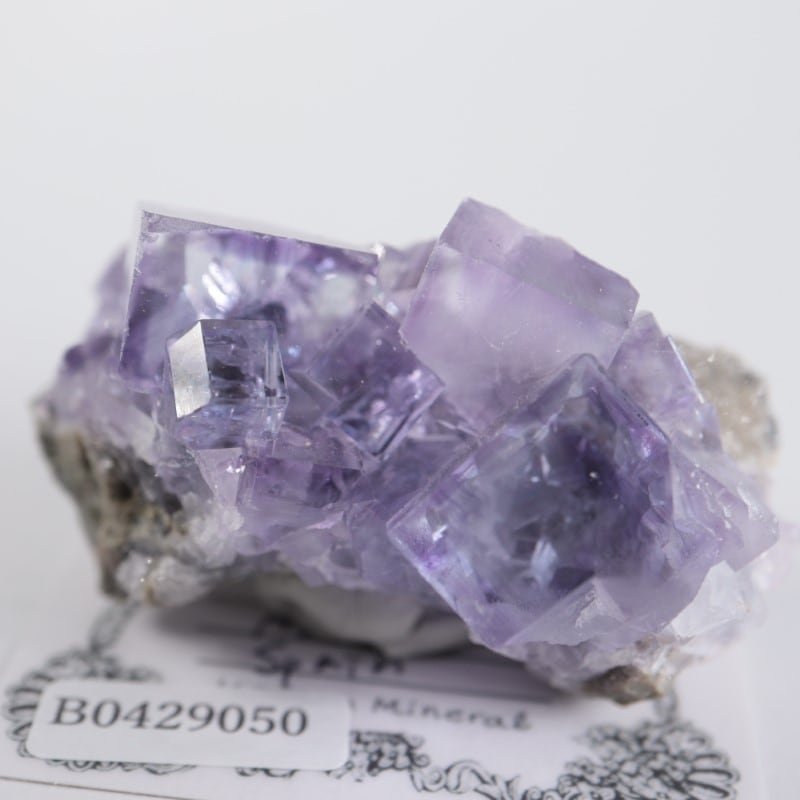 フローライト原石 エミリオ鉱山② 鉱物標本 天然石 フローライト(蛍石