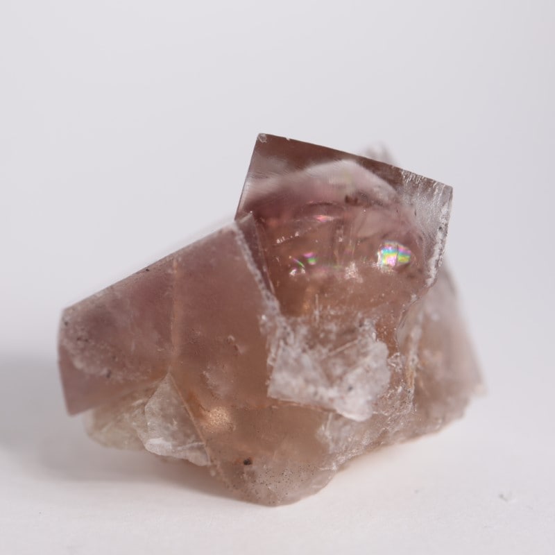 Sherry Twins Pocket産フローライト | 鉱物標本,ハ行,フローライト/蛍