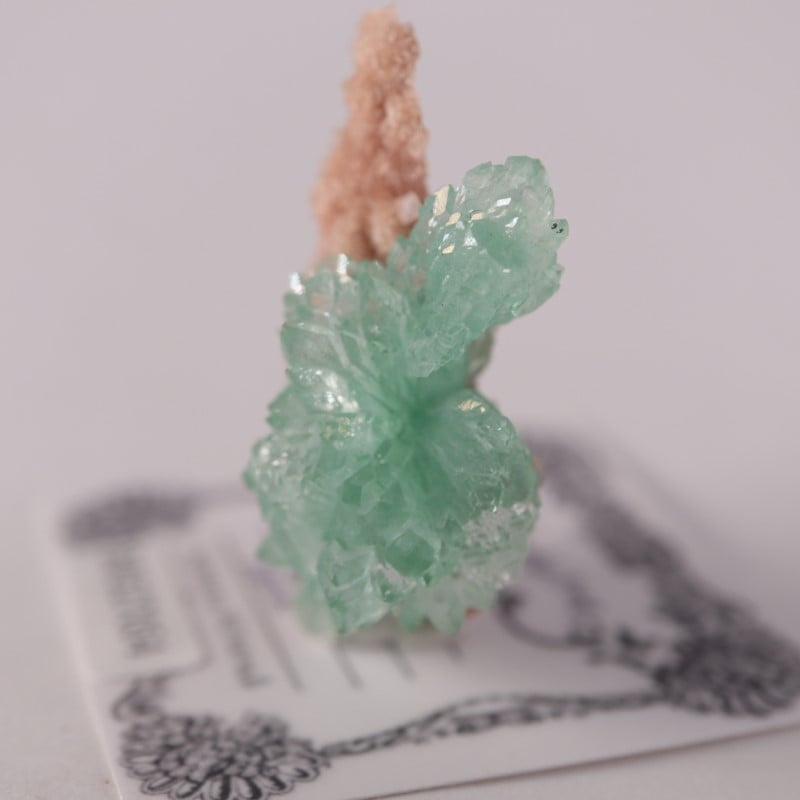 インド産アポフィライト | 鉱物標本,ア行,アポフィライト/魚眼石