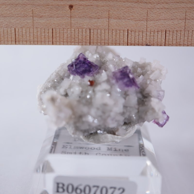 エルムウッド スファレライト フローライト 蛍石 鉱物標本 エルムウッド鉱山 フローライト | 鉱物標本,ハ行,フローライト/蛍石