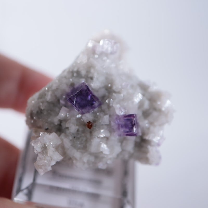 エルムウッド鉱山 フローライト | 鉱物標本,ハ行,フローライト/蛍石