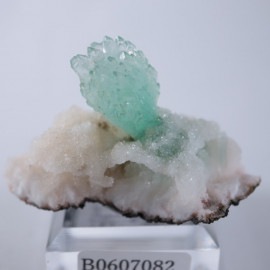 ���ݥե��饤��