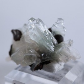 Sangamner�����ݥե��饤��