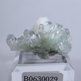 Sangamner�����ݥե��饤��