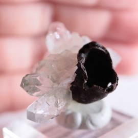 Sangamner�����ݥե��饤��