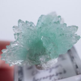 Chitegaon�����ݥե��饤��