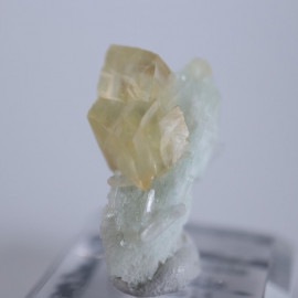 ���ݥե��饤�ȡ����륵����