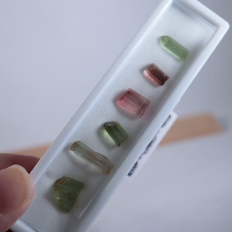 コンゴ産トルマリン | 鉱物標本,タ行,トルマリン/電気石