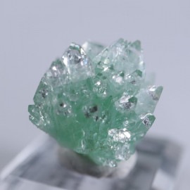 Rahuri�����ݥե��饤��