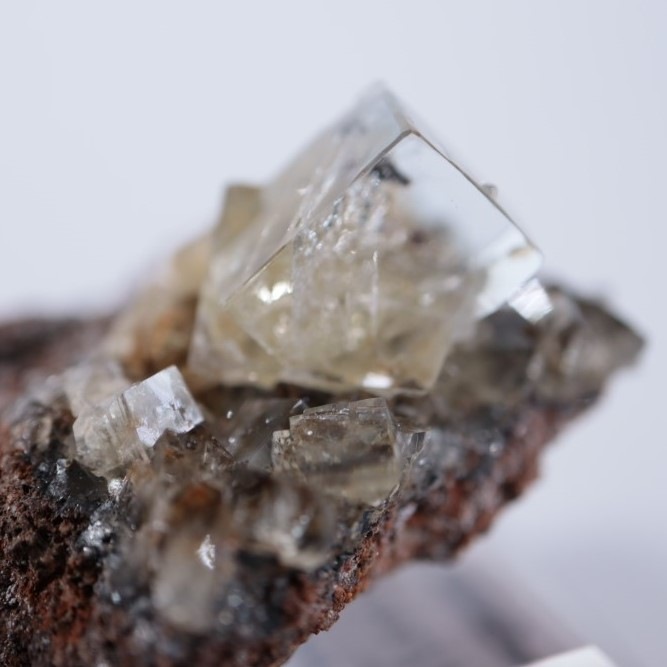 レディアナベラ鉱山産フローライト | 鉱物標本,ハ行,フローライト/蛍石