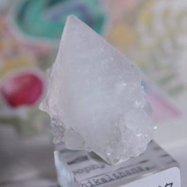 ���ݥե��饤�ȡ���������