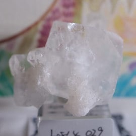 ���ݥե��饤�ȡ���������