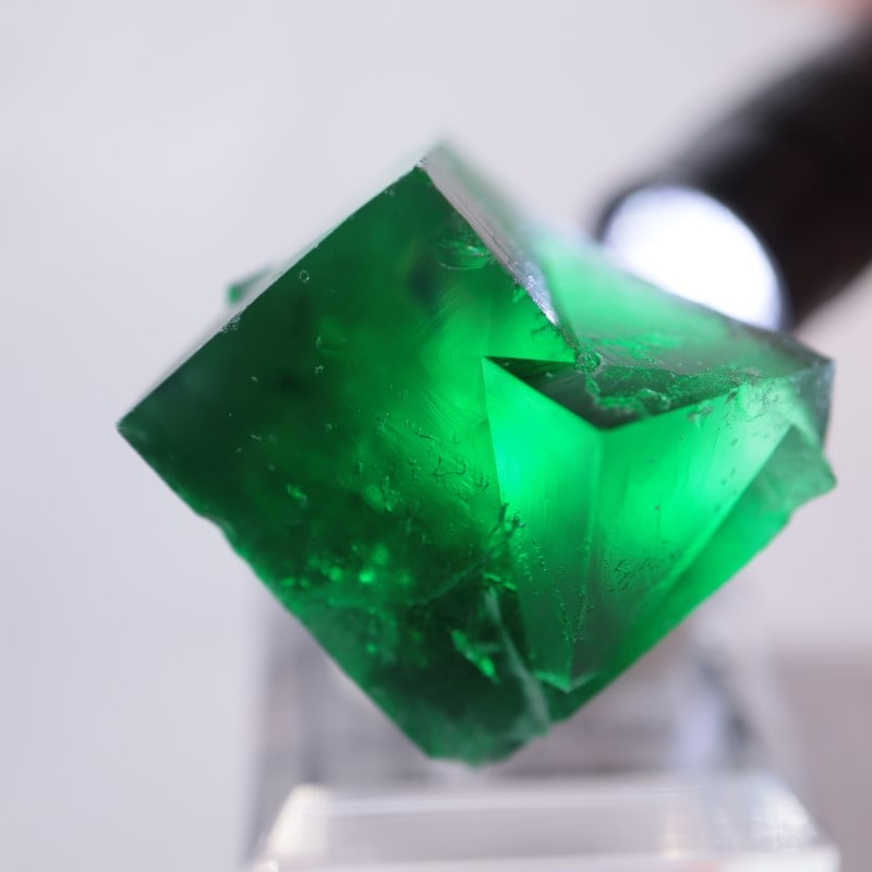 Wolfie Pocket産（ロジャリー鉱山）フローライト | 鉱物標本,ハ行