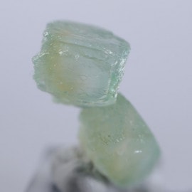 �����������꡼�󡡥��ݥե��饤��