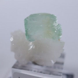 �����������꡼�󡡥��ݥե��饤��