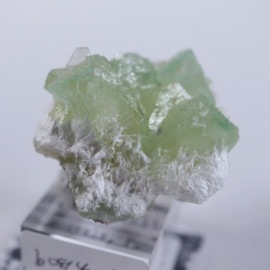 �����������꡼�󡡥��ݥե��饤��