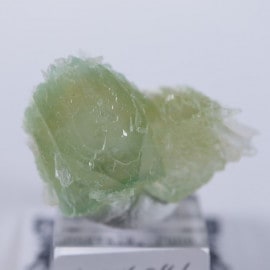 �����������꡼�󡡥��ݥե��饤��