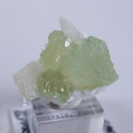 �����������꡼�󡡥��ݥե��饤��