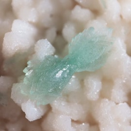 ���ݥե��饤�ȡʥܥ�������