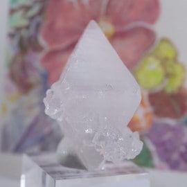 ���ݥե��饤��with�徽