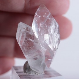 ���ݥե��饤��