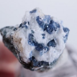 �٥˥ȥ�����